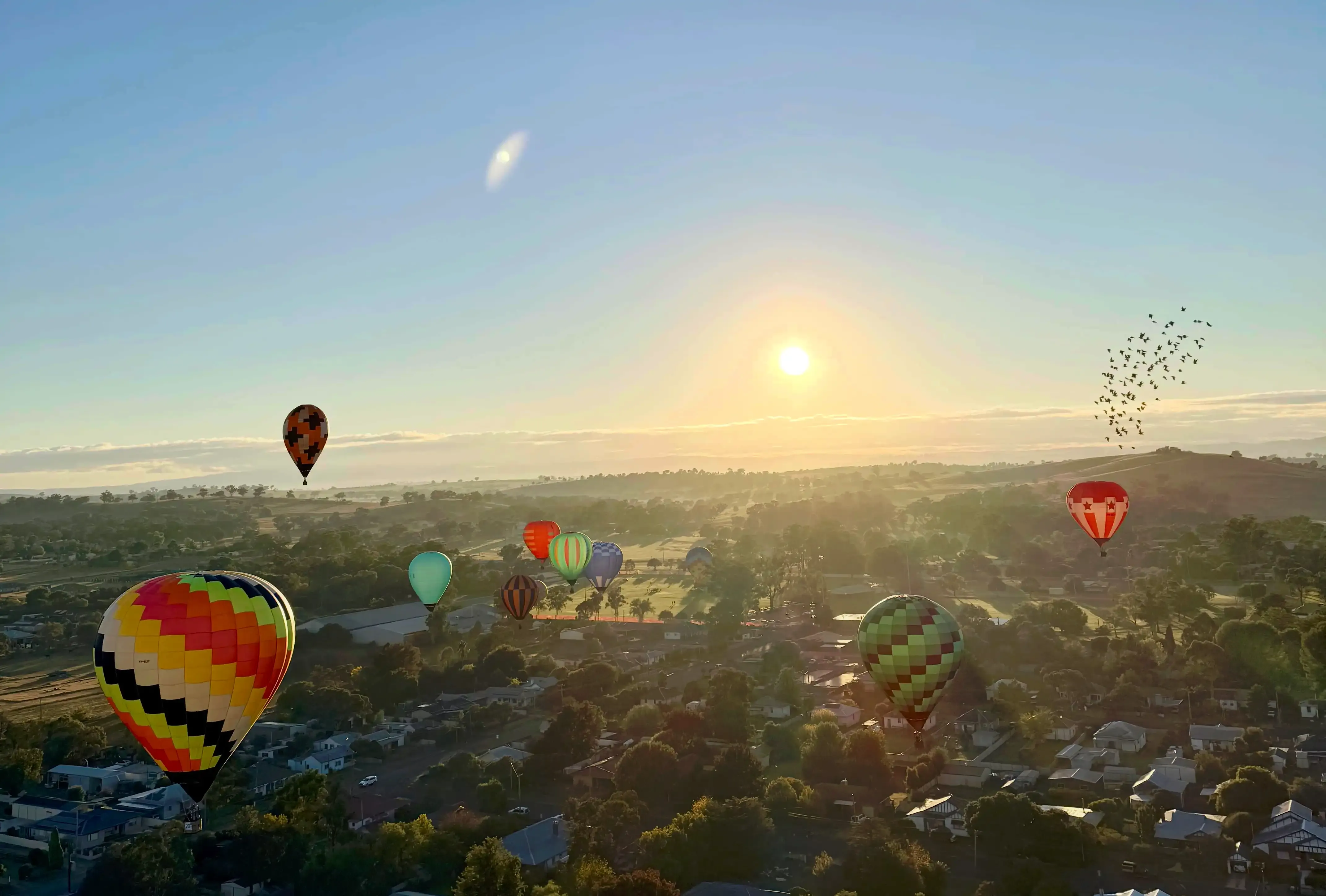 Balloons in the air, with a flock of birds flying alongside